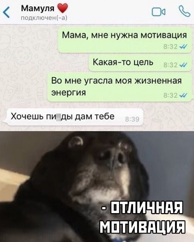 Скрины из соцсетей