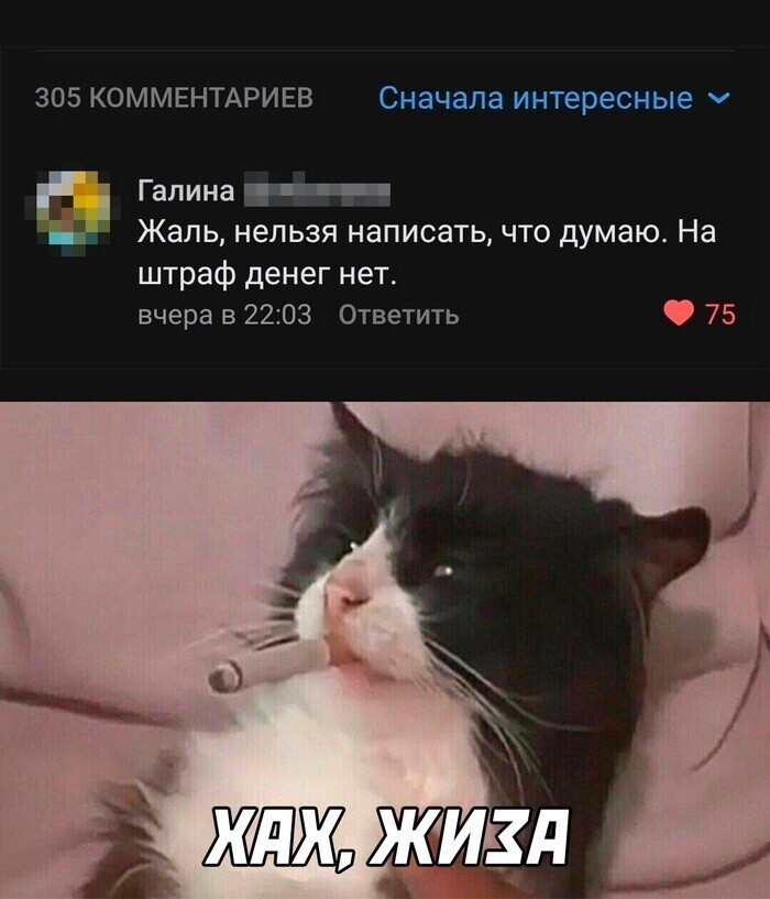 Скрины из соцсетей