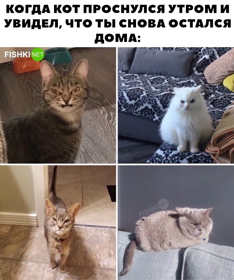 Жизненно 