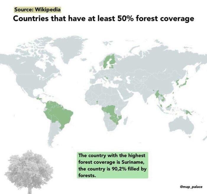 25. Страны, которые не менее чем на 50% покрывает лес (на первом месте Суринам — 90,2%)