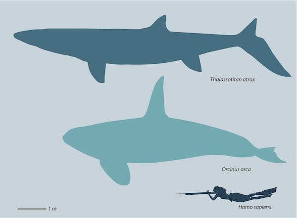 Монстры, жившие в море 66 миллионов лет назад