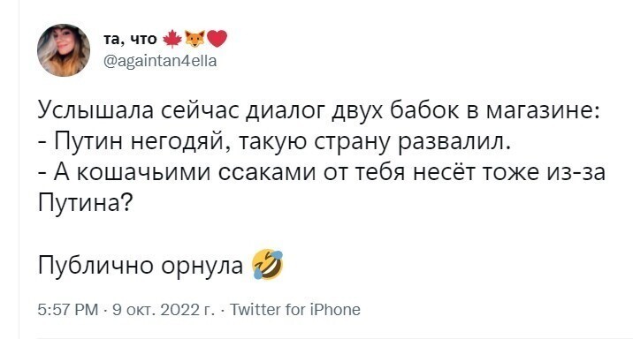 О политике и не только