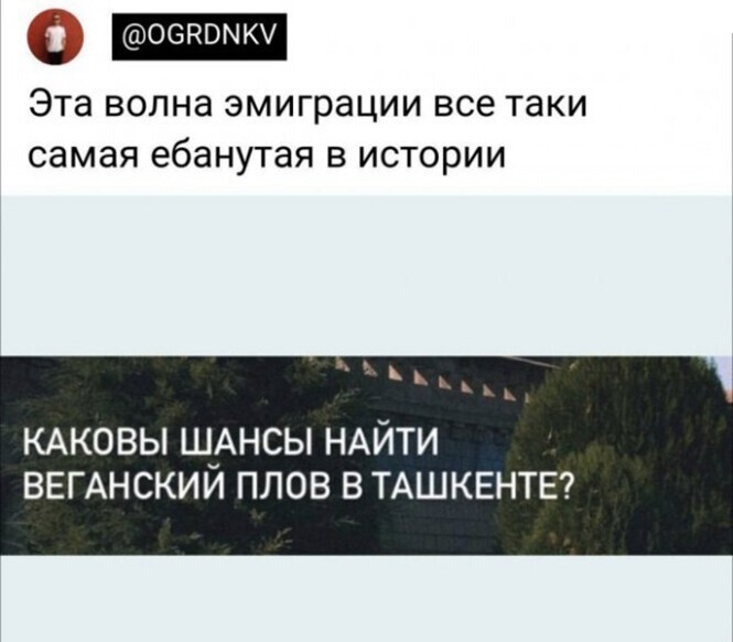 Смешные и познавательные картинки