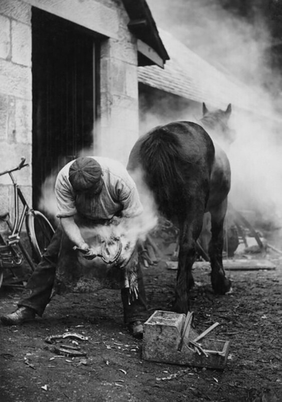 Фермер чистит копыто лошади перед тем, как её подковать. Шотландия, 1921 год. Фотограф Уильям Рид