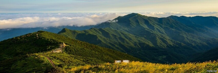 Национальный парк Чирисан - национальный парк в Южной Корее, расположенный на...