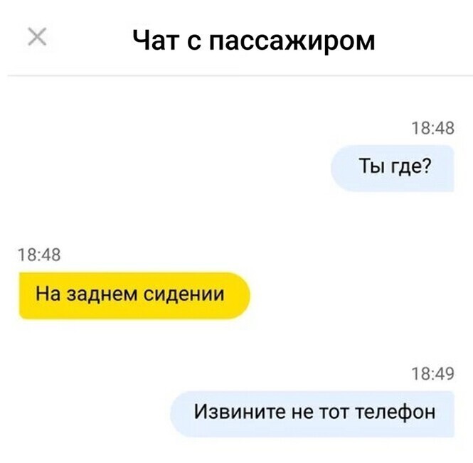 Смешные и познавательные картинки