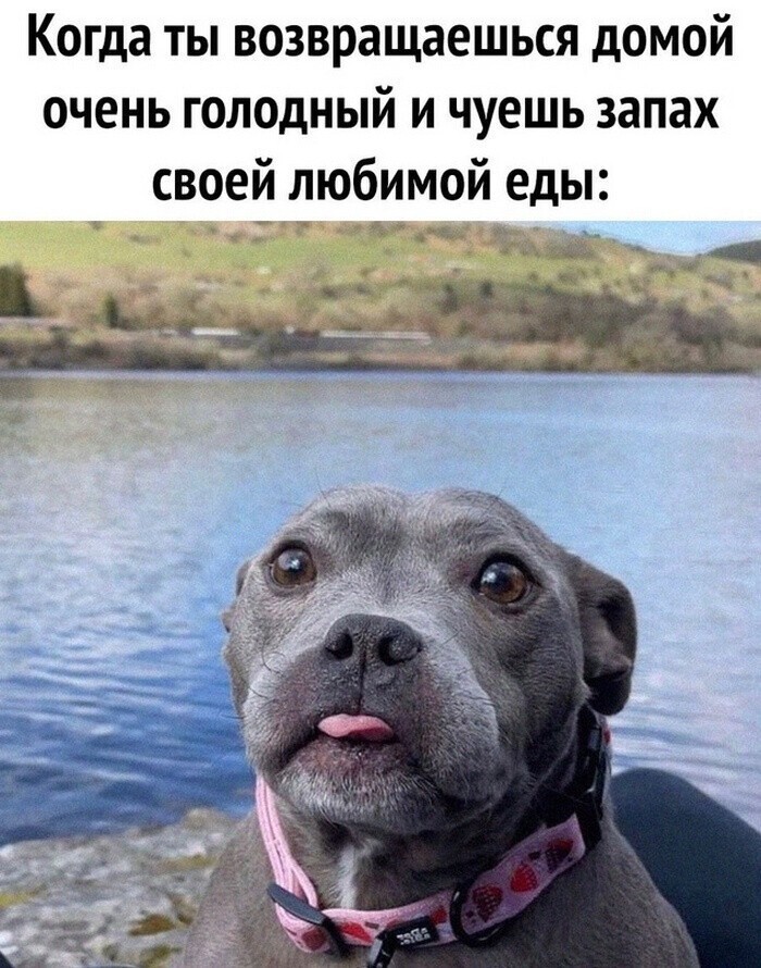 На общую тему