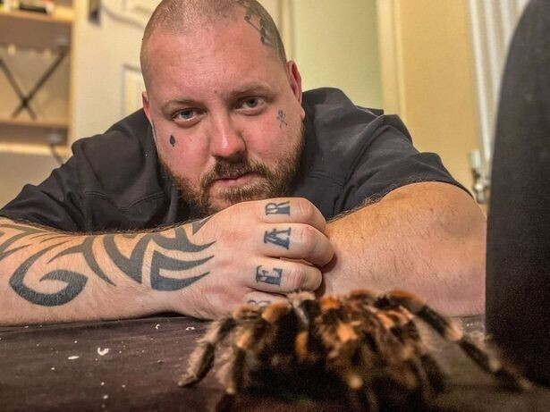 Британец нашел себя в коллекционировании пауков