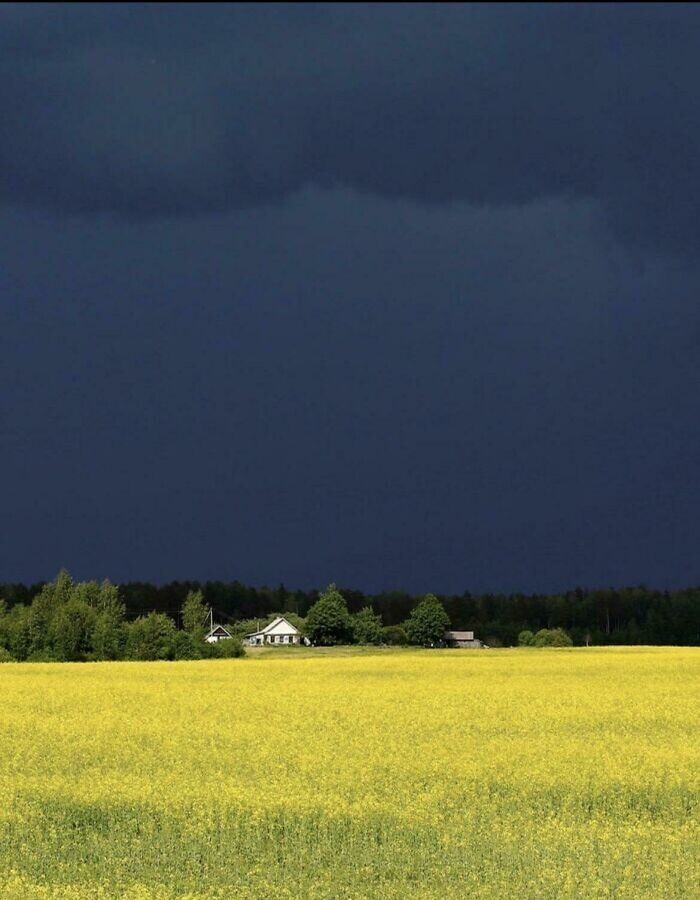 19. Затишье перед бурей