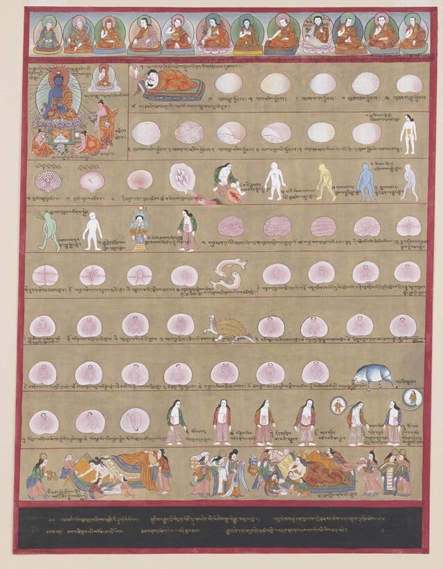 Схема стадий развития плода, информация для студентов-медиков. Тибет, 1687 год