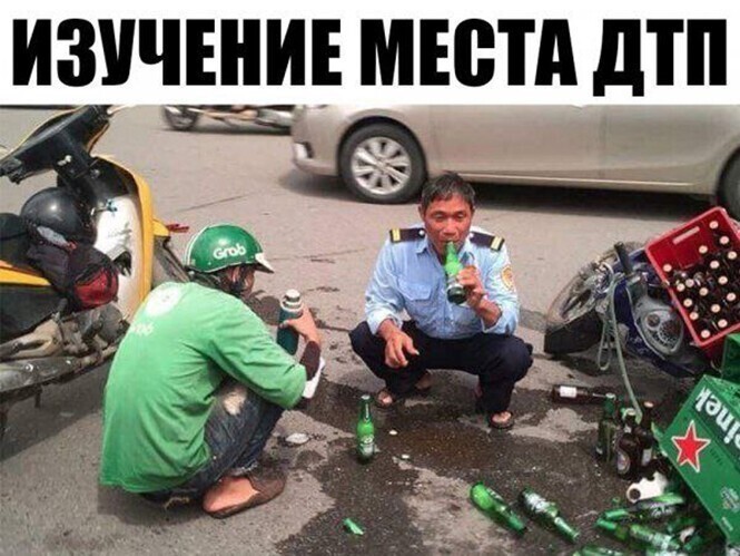 Смешные и познавательные картинки