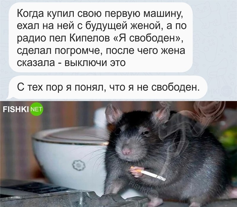 Жалко этого добряка 
