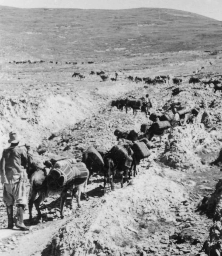 19. Караван, пересекающий перевао Няпсо-ла по пути в Китай, 1944 год