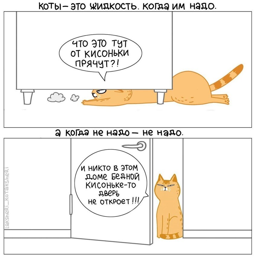 Иллюстратор рисует забавнейшие комиксы о своих котах