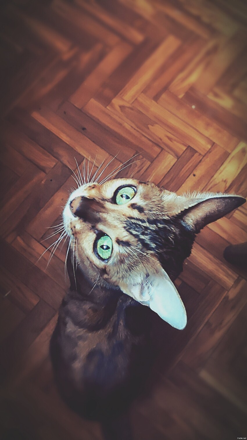Еще можно