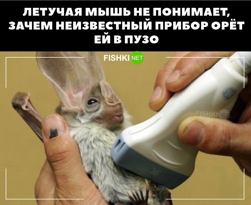 Зачем орать то