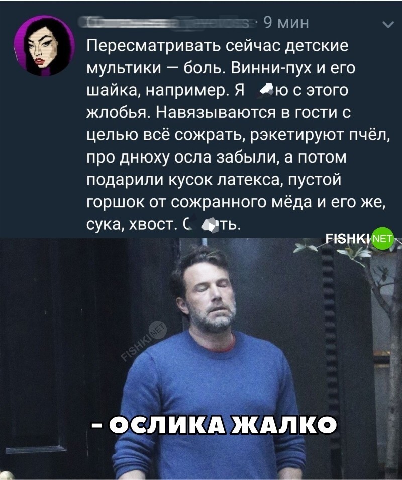 Ослика жалко 