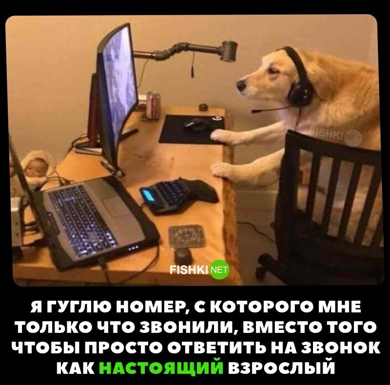 Жизненно 
