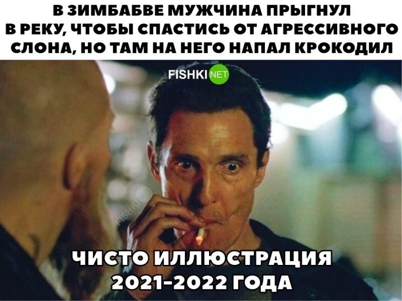 Лучшая иллюстрация