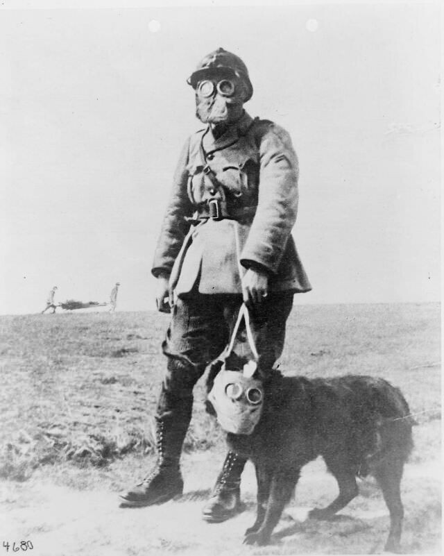 Французский сержант и собака в противогазах у линии фронта во время Первой мировой войны. 1915 год
