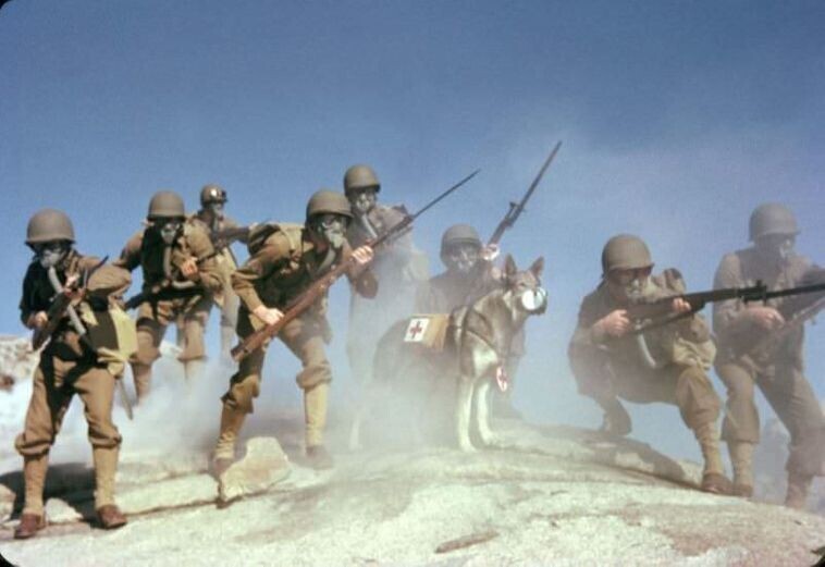 Солдаты армии США в противогазах во время учений по химическому оружию в Калифорнии. 1943 г.