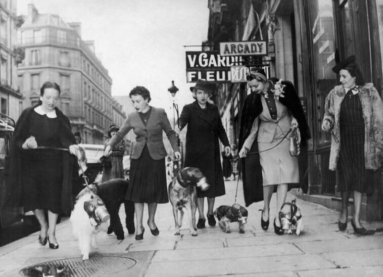 Парижанки выгуливают собак в противогазах. 1939 г.