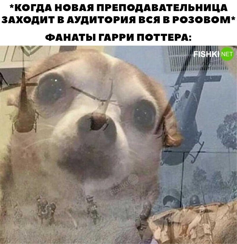 И ты понимаешь, что всё плохо