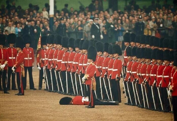 27. Британские солдаты ирландского гвардейского полка смотрят, как один из них теряет сознание, Лондон, Англия (июнь 1966 года)