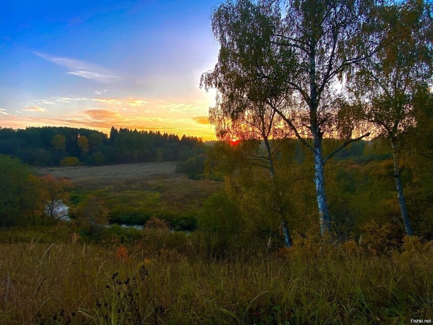 Солянка от 18.10.2022