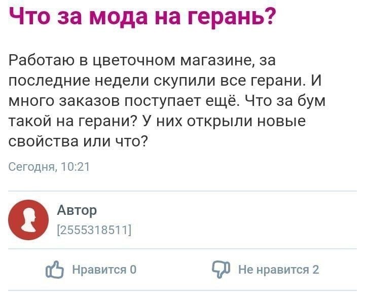 Когда неделю не заходил в интернет