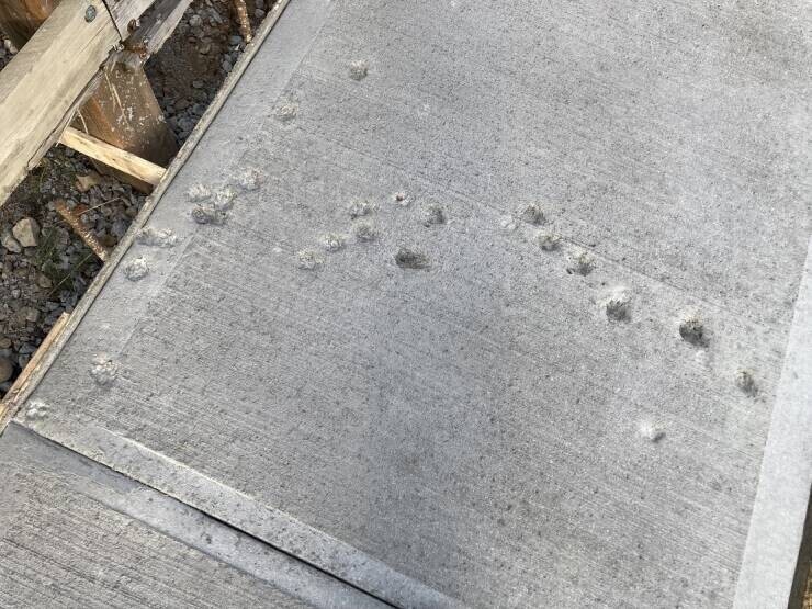 7. «Кошка забралась на свежезалитый бетон»