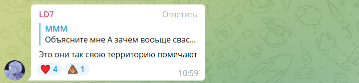 В Германии спалили приют украинских беженцев из-за нацистского символа на входной табличке