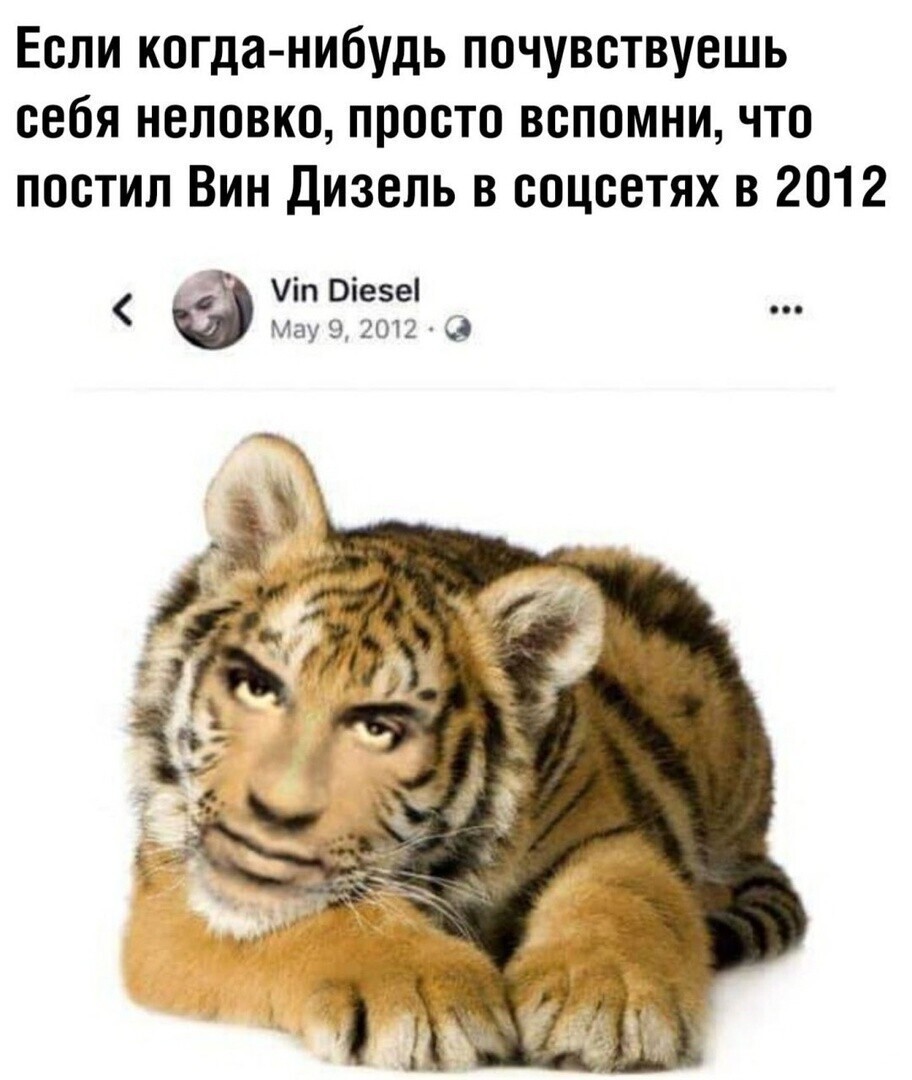 А какую фигню делали вы в 2012?