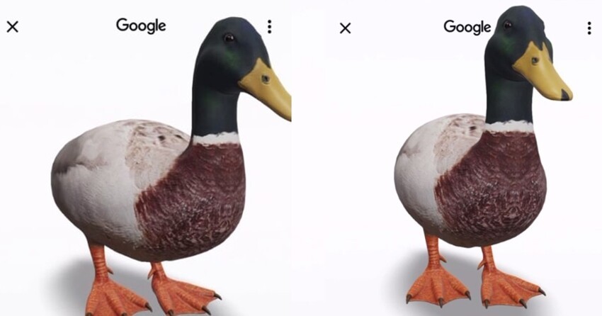 Гугл добавил функцию 3D-моделей для животных, которые можно "разместить" у себя в квартире