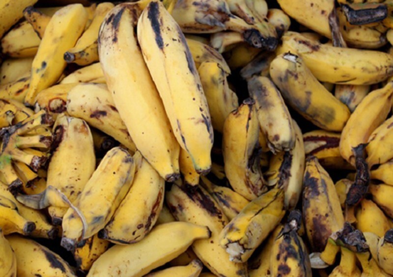 «Аура» бананов, пугающие бакланы и «утопленник»: странные суеверия, пугавшие пиратов