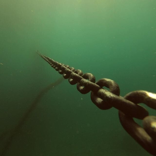 Пугающие фотографии глубоких вод