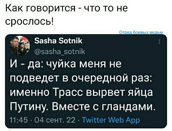 О политике и не только