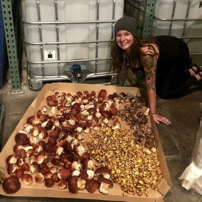 Когда в Колорадо идут дожди, грибов хватает всем!