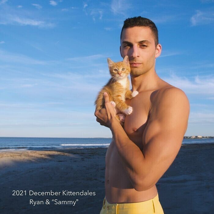 Календари с мужчинами и котятами скупают ради доброго дела