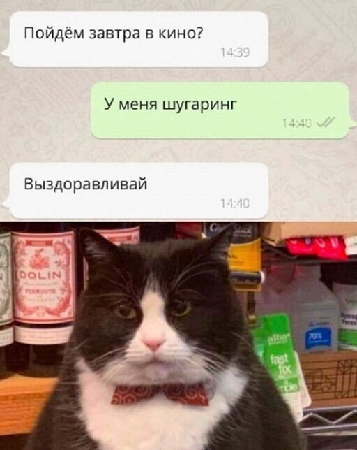 Смешные и познавательные картинки