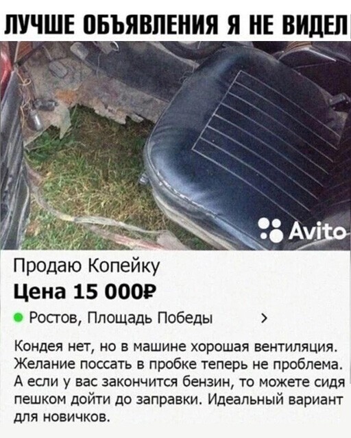 Смешные и познавательные картинки