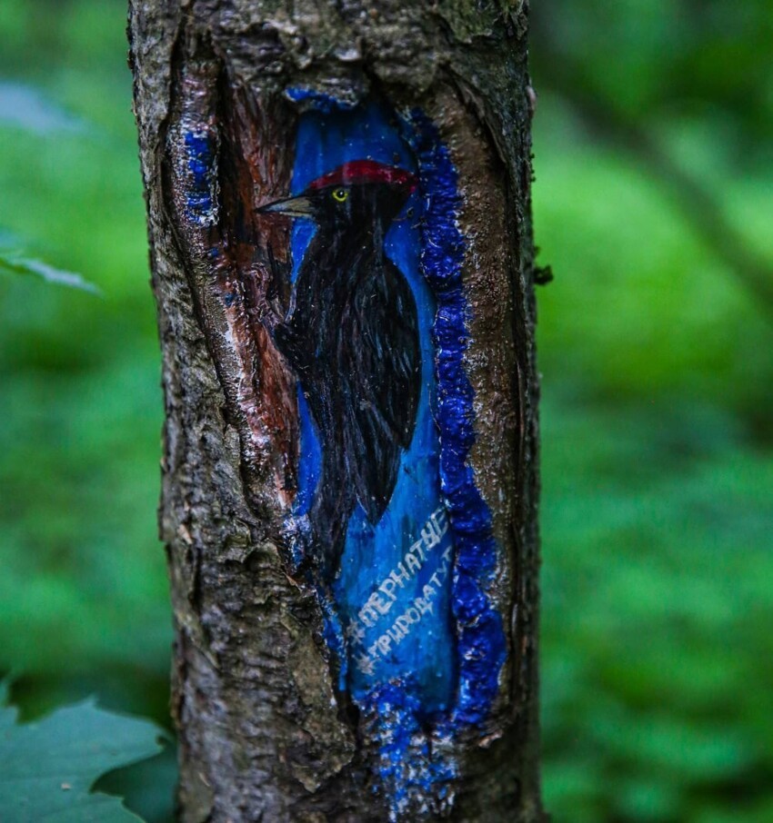 Лечебные рисунки на деревьях в Москве