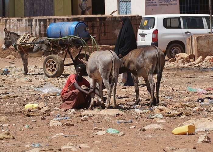 На данный момент восточноафриканское государство Сомали находится в критическом положении. Из-за гражданской войны и действий сепаратистов государство распалось на множество частей и столкнулось с сильнейшим за последние века голодом