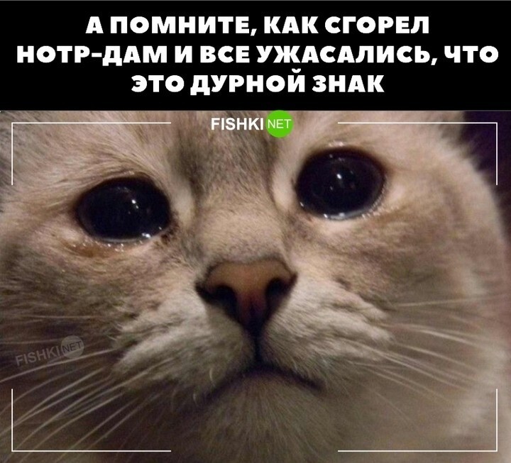 Дурной знак