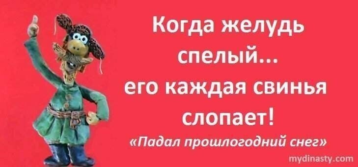 О политике и не только