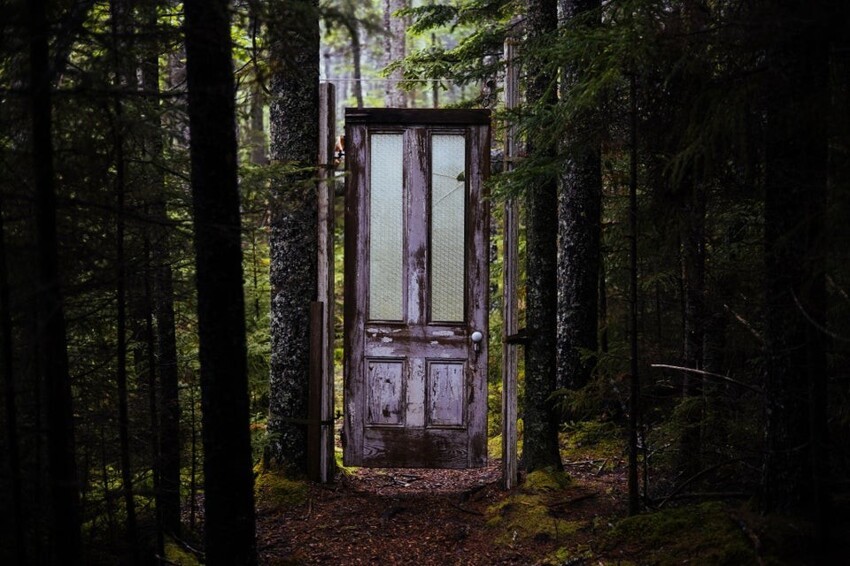 Дверь посреди леса выглядит пугающе 