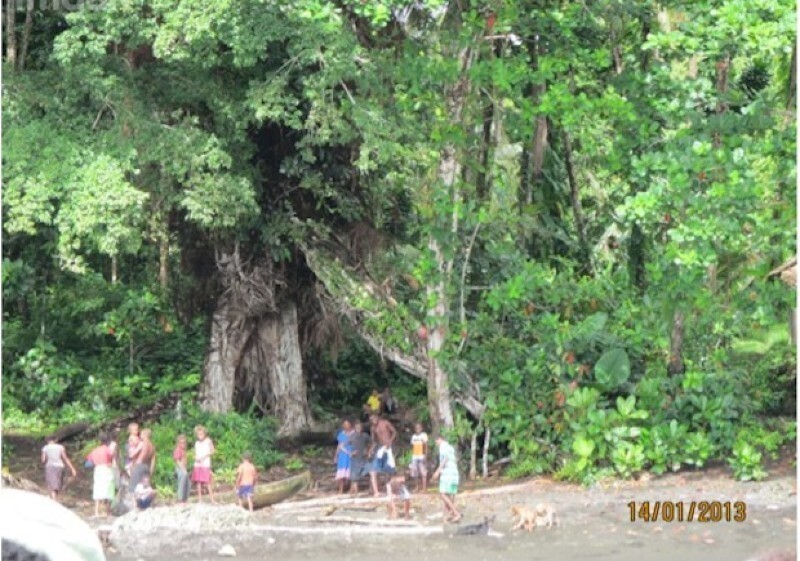 Жители острова 14 лет судились с компанией, которая уничтожала местные леса