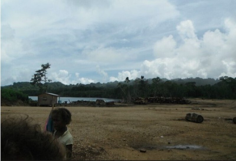 Жители острова 14 лет судились с компанией, которая уничтожала местные леса
