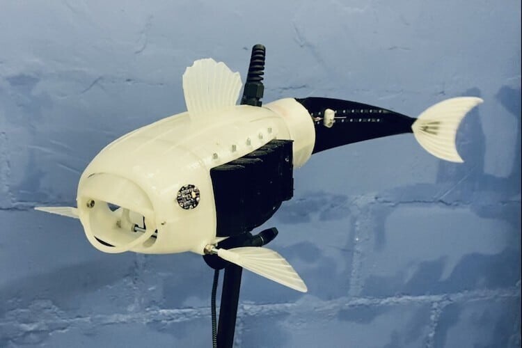 Студентка создала рыбу-робота, которая может спасти водоёмы