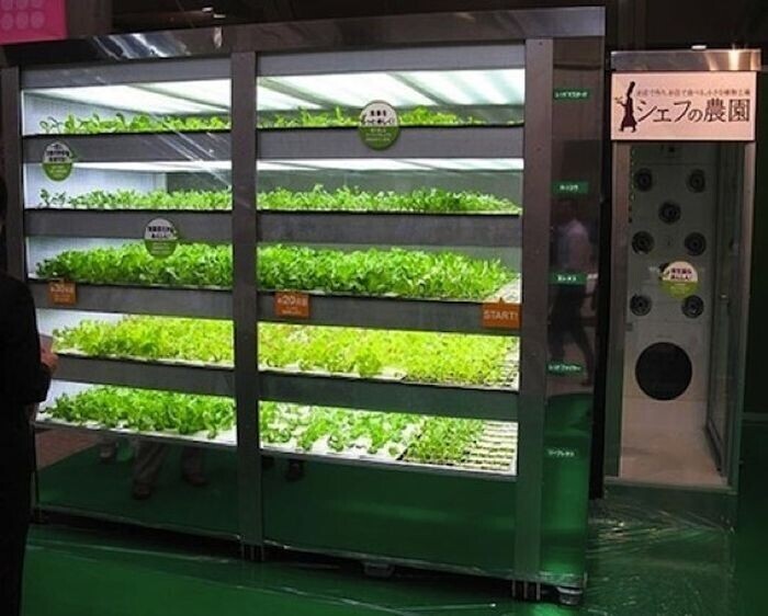 Для желающих на ходу похрустеть салатом - автомат по продаже свежего салата в Японии